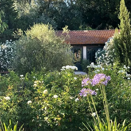 Mas De Caustes Bed & Breakfast Saint-Remy-de-Provence